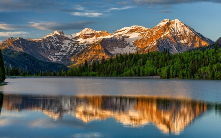 Mountain Reflection - lake, forest, mountain, reflection