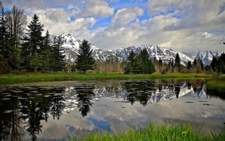 Nature - nature, lake, tree, mountain