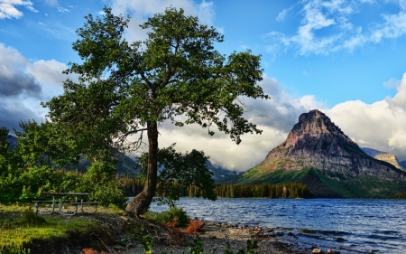 Mountain - nature, tree, mountain, sea