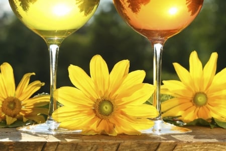 Summer Reflections in Golden Wine - reflections, glasses, sun, table, summer, golden, flowers, wine