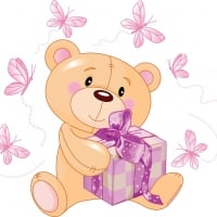 Teddy Bear Package