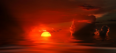 INTO THE SUN - sky, ocean, clouds, sunset, birds