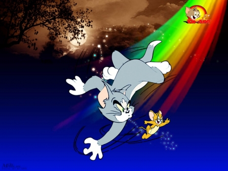 tom and jerry - mouse, jerry, cat, tom