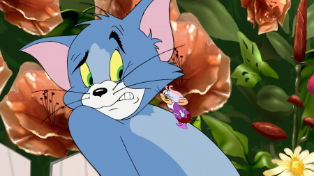 tom and jerry - mouse, jerry, cat, tom