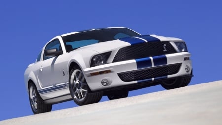 Ford Mustang GT 500 - vehicles, Ford, cars, Ford Mustang GT 500, white cars, front view, Mustang