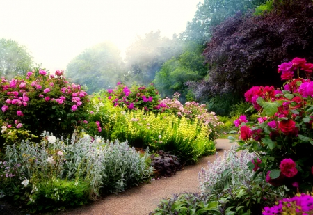 Floral path - roses, alley, summer, beautiful, fragrance, walk, tree, flowers, path, scent, floral, park