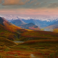 Denali National Park