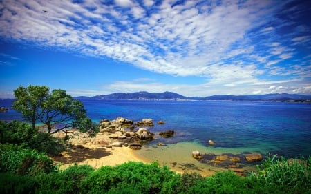 wonderful seashore - trees, clouds, shore, sea, rocks