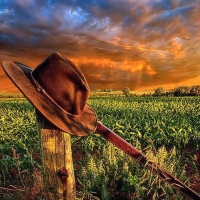 Hat and Landscape