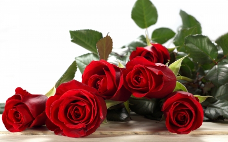 Roses - white, red, green, bouquet, rose, flower