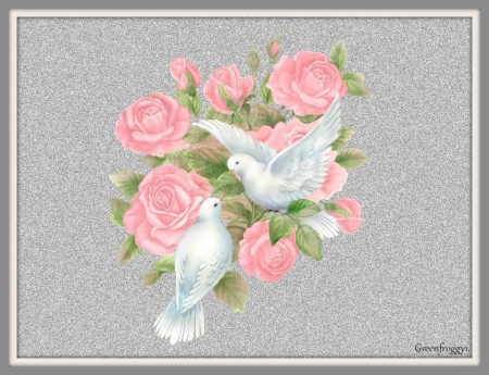 PAIR OF DOVES - creation, doves, two, bird