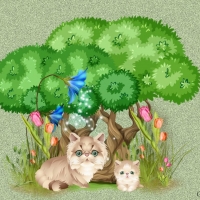 CUTE KITTIES