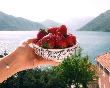 Do you like some? - photo, hand, nature, strawberries