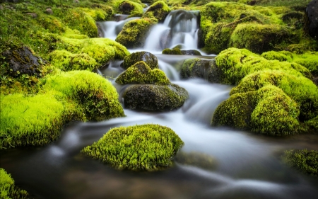 Forest Waterfall - nature, moss, waterfall, rocks