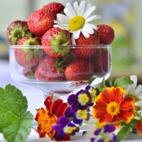 Strawberries and flowers