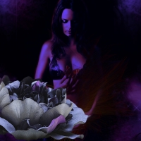 Purple woman and rose