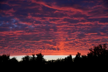 Beautiful Sunrise - nature, sky, trees, clouds, sunrise