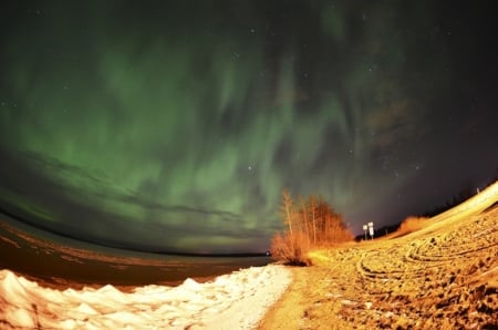 Aurora Borealis - clouds, force of nature, trees, nature, landscape