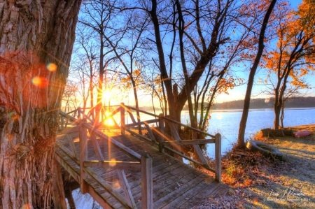 Lake Sunset - water, autumn, trees, sun