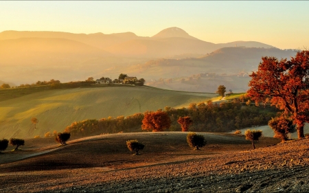 Morning - nature, valley, mountain, tree, grass