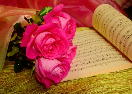 Roses and music