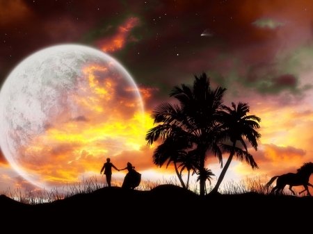 Romance at Night - moon, beach, silhouette, trees, shadows, palm, nature, star, horse, clouds