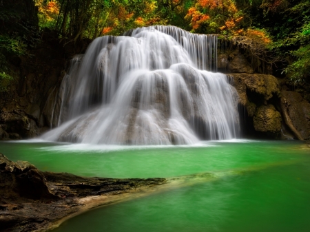 Forest Fall - nature, lake, trees, forest, river, waterfall