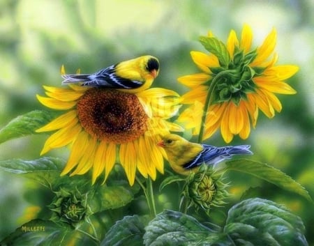 Goldfinches on Sunflowers - sunflowers, birds, yellow, summer, paintings, lovely, flowers, nature, cute, goldfinches, love four seasons, draw and paint, animals