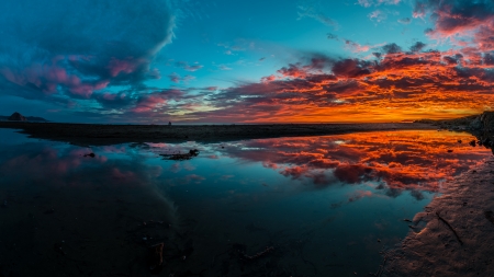 Sunset - nature, sky, cloud, tree, sunset