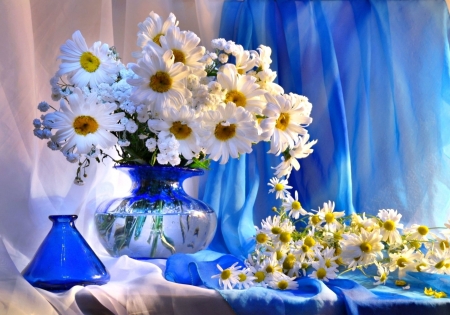 Daisies - white, glass, yellow, blue, still life, flower, vase