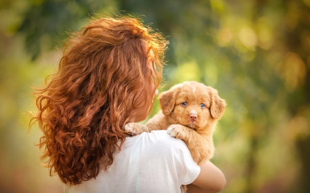 Girl with puppy - animal, cute, puppy, girl, redhead, nova scotia duck tolling retriever, woman, dog, green