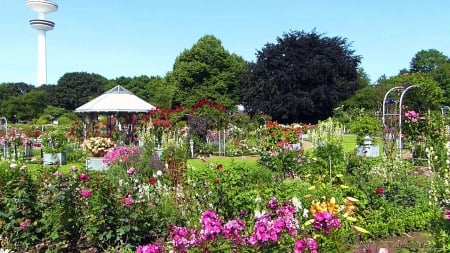 Flower Park in Hamburg - phlox, blossoms, roses, tv tower, gazebo