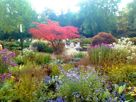 Summer Park - blossoms, garden, pond, chairs, plants, colors