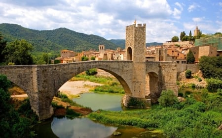 Bridge - nature, bridge, grass, river