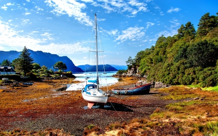 boats on a dry alaskan inlet - inlet, boats, trees, bay