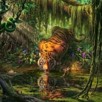 'Mystical tiger'.....