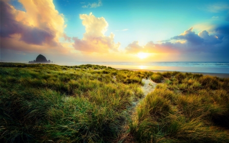 Sunset - Sunset, grass, nature, sky