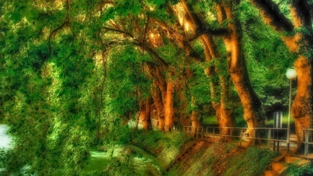 down by the river hdr - trees, bank, river, hdr, rail