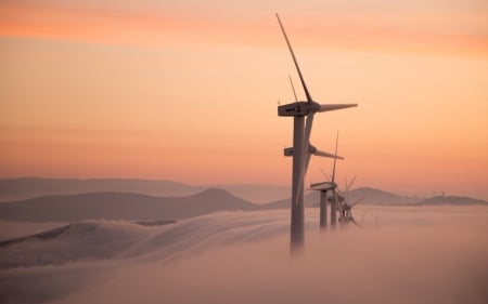 fog under dutch power windmills - fog, windmills, sunset, power