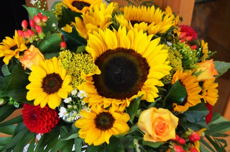 Bouquet of Flowers - sunflowers, roses, dahlia, blossoms, petals, colors