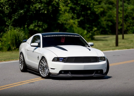 Ford-Mustang - white, tint, ford, custom wheels