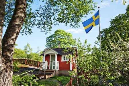 Cute little house in Sweden - house, sweden, nature, flag