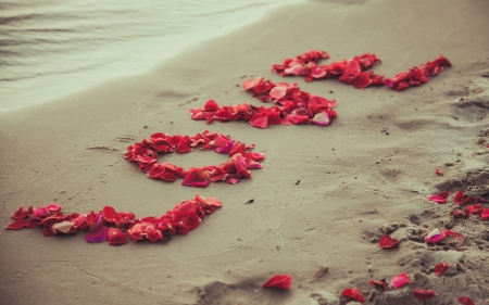 Love - love, beach, red, summer, valentine, sand, sea, flower