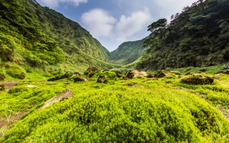 Mountain - mount, sky, moss, grass