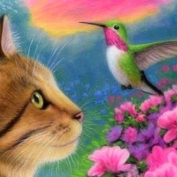 Tabby Cat & Hummingbird