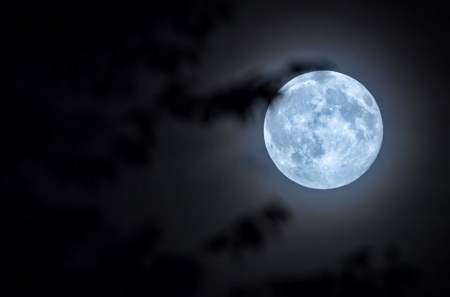 Blue Moon - moon, sky, full moon, photography, night