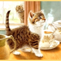 Kitten and Coffee