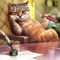 Cool Cat
