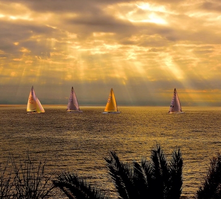 Sailboats - water, sailing, boats, sun