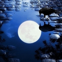 Moon Reflection